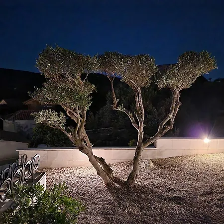 Апартаменты Olivetum *