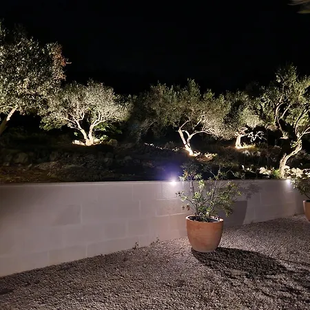 Olivetum